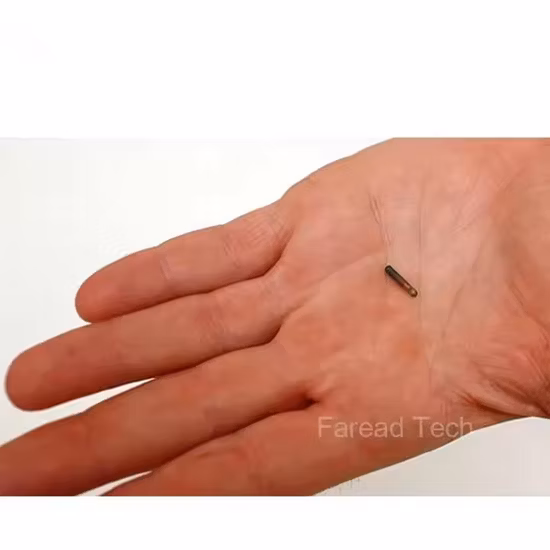 Identificazione animali domestici con impianto a 134,2 KHz, animali domestici con microchip